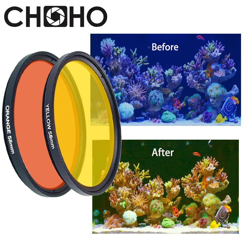 Photography Yellow Filter - Filter Color Yellow Orange Seawater fish