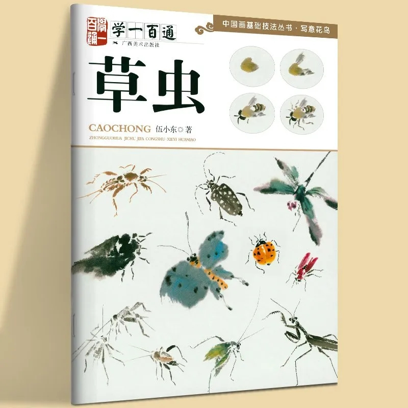 Traditional Chinese Painting B - Photography Basic review and price