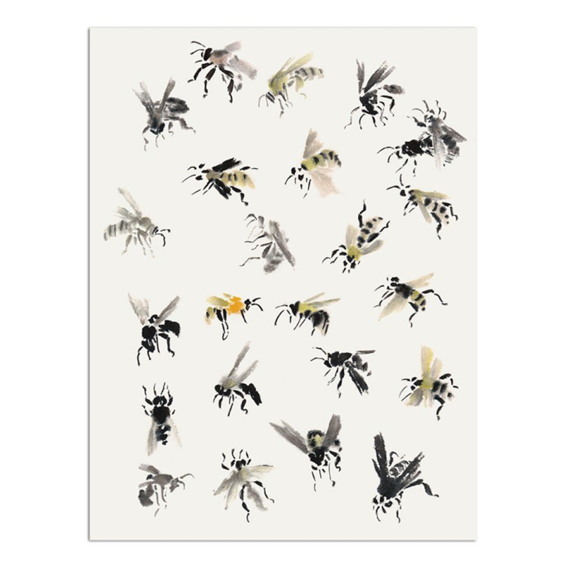 Traditional Chinese Painting B - Photography Basic review and price