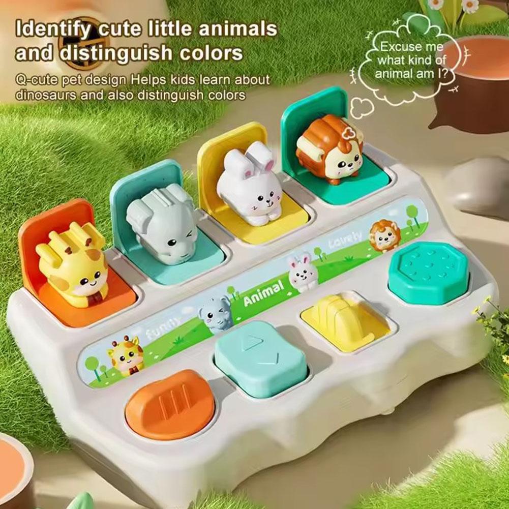 Montessori Pop up Animal Toys  - Photography Jokes review and price