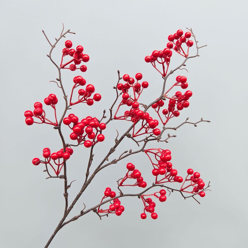 Decorative Simulation Berry Br - Photography Simulator review and price