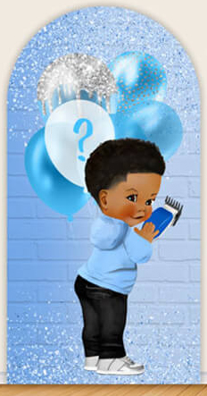 LS Gender Reveal Party Arch Co - Photography Questions review and price