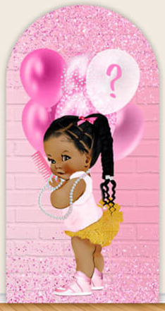 LS Gender Reveal Party Arch Co - Photography Questions review and price